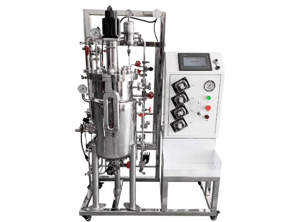 Hệ thống lên men tự động 100L