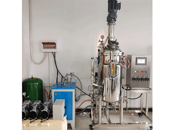 Hệ thống lên men tự động 100L có sensor PH, DO