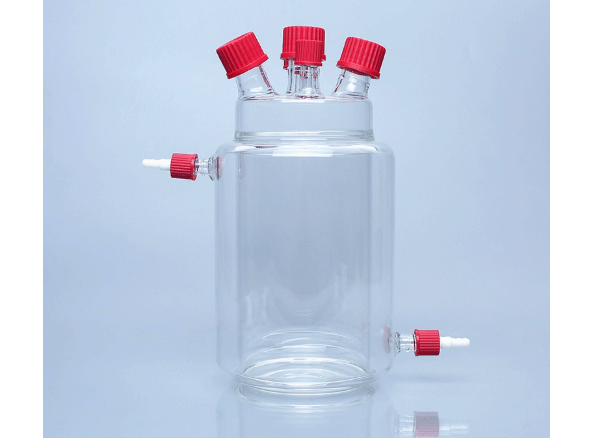 Bình lên men có vỏ áo (Bình lên men 2 lớp), 1L, 2L