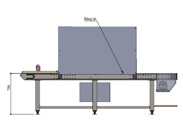 Pass box kèm băng tải (Băng tải kèm hộp thổi khí sạch và đèn UV)