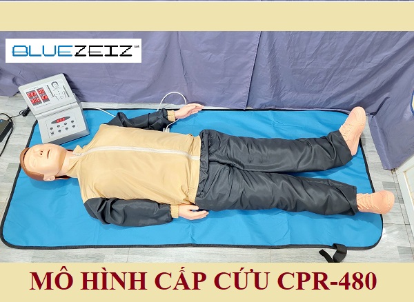 MÔ HÌNH CẤP CỨU CPR 480